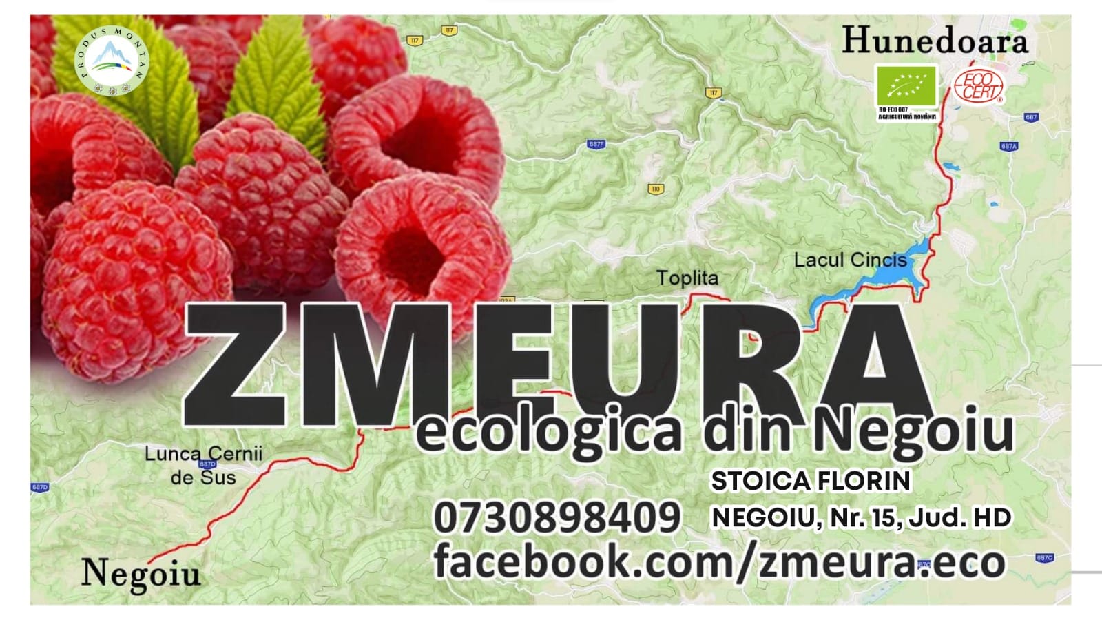 Stoica Florin Puiu – Producător de zmeură ecologică în Deva, județul Hunedoara